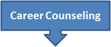 career guidance experts