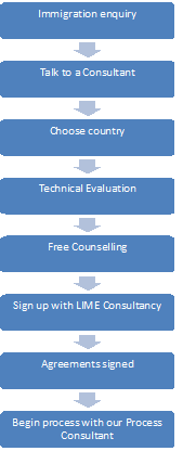 LIME Consultancy Process Flow