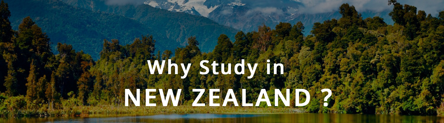 Study in NewZealand